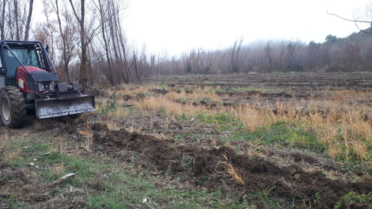 2021-12-22 recuperación ambiental