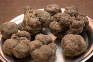 2022-02-05 Trufas