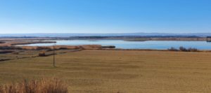 2022-02-08 Laguna de Sariñena