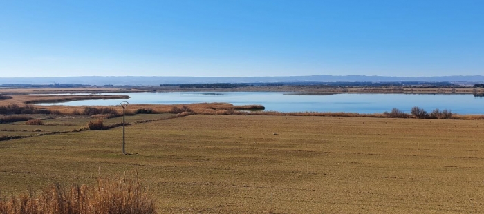 2022-02-08 Laguna de Sariñena